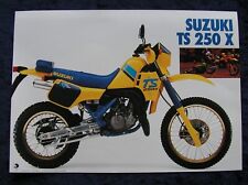 Suzuki 250 prospekt gebraucht kaufen  Vechta