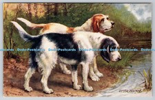 R760347 otter hounds for sale  WARLINGHAM