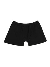 Maxfort 250 boxer usato  Foggia
