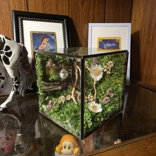 Usado, cubo floral de cristal feito à mão: musgo preservado comprar usado  Enviando para Brazil