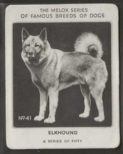 Melox famous breeds for sale  COLNE