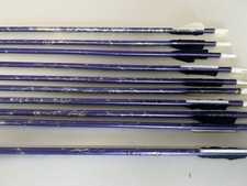X10 easton arrows for sale  ROCHFORD