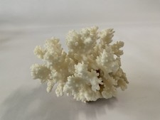 Real white ocean for sale  Chelsea
