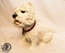 Westie hund rotem gebraucht kaufen  Beuron