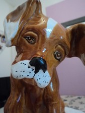 chien boxer d'occasion  Saint-Yorre