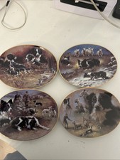 Davenport border collie for sale  BOGNOR REGIS