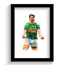 Kerry gaelic football for sale  NEWRY