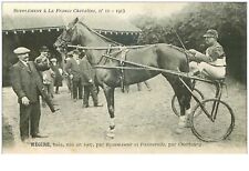 Hippisme. 35961.hegire.baie.19 d'occasion  France