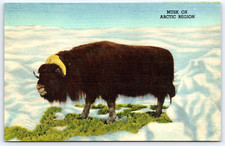Vintage postcard old for sale  Decatur