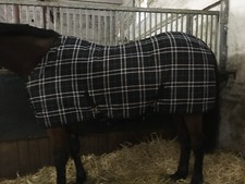 Eskadron stalldecke 155 gebraucht kaufen  Deutschland