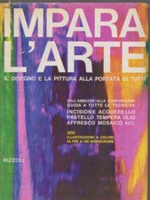 Impara arte jaxtheimer usato  Italia