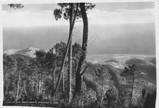 Postcard san remo d'occasion  Expédié en Belgium
