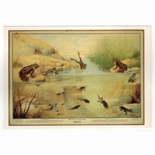 plakat museum gebraucht kaufen  Backnang