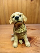 Fraser creations labrador for sale  WIGTON