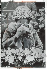 1966 press photo for sale  Memphis