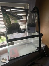 Gallon lizard tank for sale  Wyncote