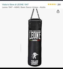 Sacco boxe leone usato  Sorrento
