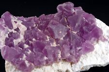 Fluorite navidad mexique d'occasion  Lille-