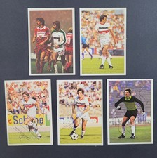 Bergmann sammelbild 1979 gebraucht kaufen  Langweid a.Lech