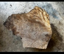 Maple burl natural for sale  Battle Ground