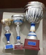 Lotto coppe per usato  Cortona