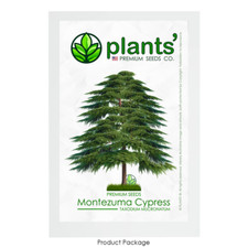 Montezuma cypress tree for sale  Claremont