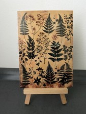 Postkarte motivkarte farn gebraucht kaufen Postkarte motivkarte farn gebraucht kaufen  Hannover