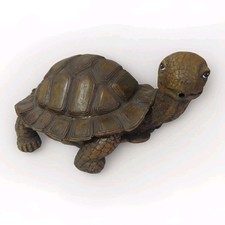 Tortoise spitter jungle for sale  CHELMSFORD