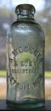 Detroit michigan wegener for sale  Shiner