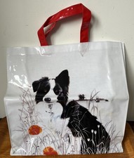 Border collie dog for sale  TRURO