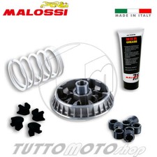 Malossi 5114260 variatore usato  Serra d'Aiello