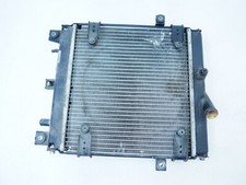 Radiatore acqua kymco usato  Cherasco