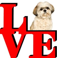 Shih tzu cute for sale  Pottstown