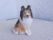sheltie gebraucht kaufen sheltie gebraucht kaufen Deutschland