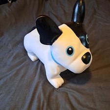 toy bulldog for sale toy bulldog for sale BARNSLEY