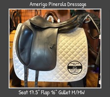 Amerigo pinerola dressage for sale  Richmond