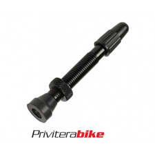 Fulcrum valvola tubeless usato  Catania