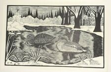 Daglish teal duck for sale Daglish teal duck for sale  OSWESTRY