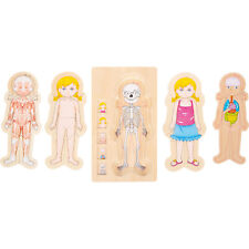 Puzzle strati anatomia usato  Italia