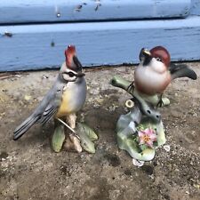 Oiseaux vitrine hauteur d'occasion  Quimper