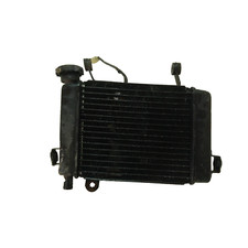 Radiatore acqua elettroventola usato  Casoria