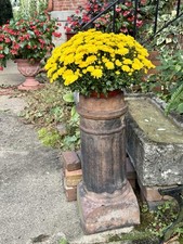 Large antique victorian for sale  Wellington