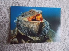 Cardz san diego for sale  BURNTWOOD