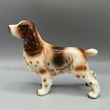 Springer spaniel dog for sale  Bellevue