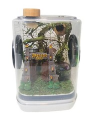 Acrylic jumping spider for sale  Athens