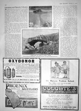 Old antique print for sale  UK