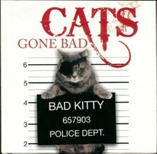 Cats gone bad d'occasion Cats gone bad d'occasion  Hennebont