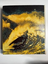 Waves crawford jr. usato  Roma