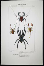 1831 pretre originale usato  Urbino