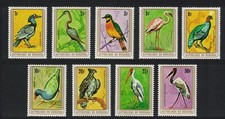 Hornbill anhinga flamingo for sale  UK